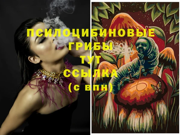 ешки Алексин