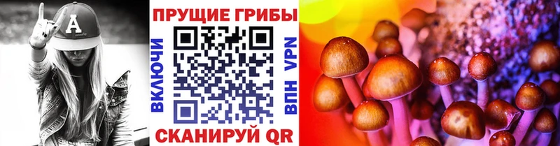 Псилоцибиновые грибы мицелий  Алейск 